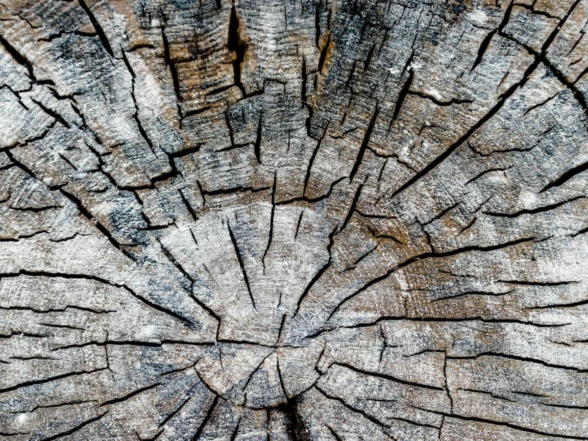 Is Christ Divided? And If Not, Why Are We?